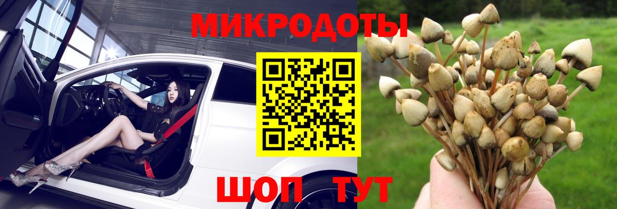 Псилоцибиновые грибы Magic Shrooms Ахтубинск